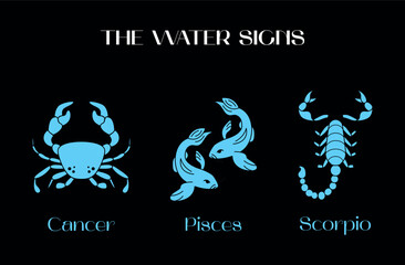 Astrological water zodiac signs. Scorpio, Pisces, Cancer Symbols. Constellations. Vector illustration isolated on background