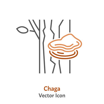 Chaga mushroom on a tree. Outline icon.