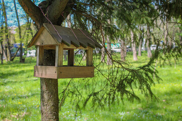 Bird Feeder Nestled Amongst Park's Serene Pine Trees. Rustic Bird Feeder Adorned by Park's Serene Pine. Birdhouse Delight Amidst Park's Beauty