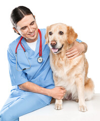 Fototapeta na wymiar Beautiful young veterinarian with a dog