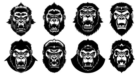 Set of gorilla heads with open mouth and bared fangs, with different angry expressions of the muzzle. Symbols for tattoo, emblem or logo, isolated on a white background.