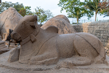 Nandi sculpture behind arjuna ratha at mahabalipuram on the coromandel coast of bay of Bengal. It is a part of UNESCO world heritage at mahabalipuram