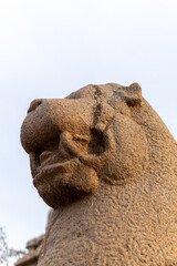 Monolithic stone carved lion sculpture in the complex of Shore temple at Mahabalipuram, Tamilnadu, India.