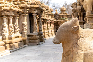 A majestic Nandi, the sacred bull, sits gracefully facing in the temple, embodying strength and...