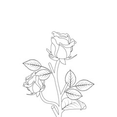 Vector Spring Rose Flower Ornament Coloring Page 