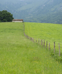 Fototapeta na wymiar Fences and meadows in the Araitz valley, Navarra, Spain