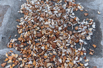 Coconut kept for drying on granite stone floor in a traditional method in Chidambaram Thillai Natarajar Temple in Tamil Nadu, India