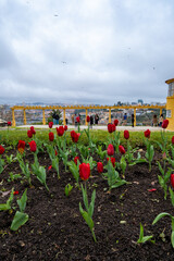 Immerse yourself in the floral beauty of Porto and be enveloped by a sea of colors and fragrances....