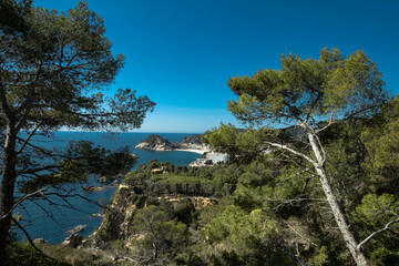 Descubre la costa brava en todo su esplendor: acantilados imponentes, aguas turquesas y playas vírgenes. Captura la serenidad de este paraíso costero y déjate llevar por la magia del mar. © Beatriz
