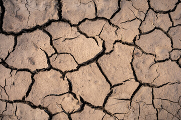 Close up on dry cracked soil.