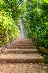 Steps towards the Manoa Waterfall in Honolulu, Hawaii