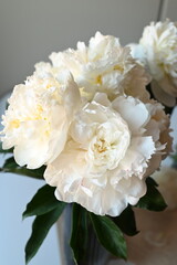 white flowers bouquet