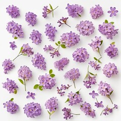 A Beautiful Set of Small Purple Lilac Flowers