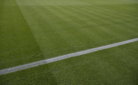 Fussballfeld Rasenschnitt
