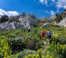 Wanderurlaub auf Sardinien, Italien: Wandern im karstigen Supramonte Gebirge, Monte Albo, Punta...