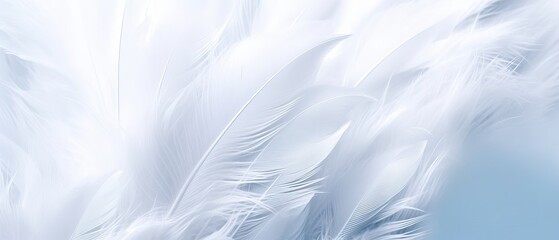 Airy soft fluffy wing bird with white feathers close-up of macro pastel blue shades on white background. Abstract gentle natural background with bird feathers macro with soft focus
