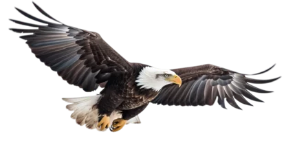 Foto op Canvas An American bald eagle flying on a transparent background, Generative AI © 016Graphics
