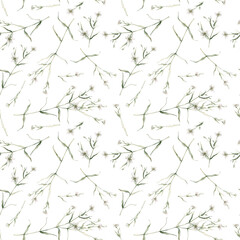 Watercolor seamless pattern with stellaria holostea. Rabelera holostea. Hand painted small white flower and leaves isolated on white background. Illustration for design, fabric, print or background.