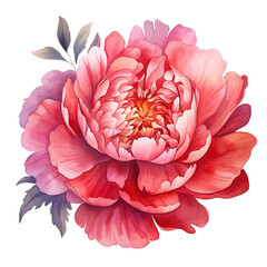 Watercolor beautiful peony flower. Illustration AI Generative.