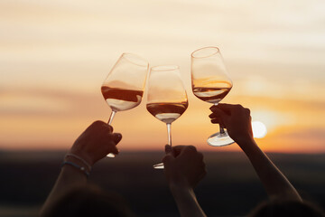 Young people clinking glasses with wine at summer sunset. Happy friends enjoying happy hour at nature. Life style concept with friends.