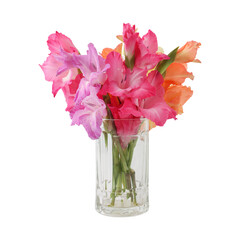 Bouquet of gladiolus flowers isolated on transparent background	