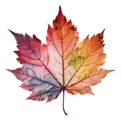 Autumn leaf isolated. Illustration AI Generative.