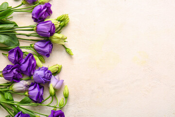 Beautiful eustoma flowers on light background