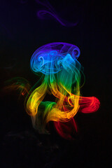 Rainbow colored incense smoke jellyfish like smoke ring under prism light flowing upward colorful smokey scene photographed inside dark studio