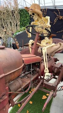 A skeleton in a straw hat sits behind the wheel of a tractor Spiders in the background Autumn leaves and overhead barn roof Rusty 