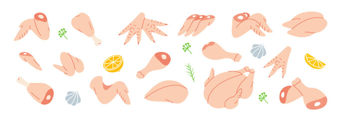 Fresh chicken meats. Butcher shop. Chicken farming products. Whole chicken, brisket wing, carcass, fillet, ham, leg, breast, shank, drumstick.