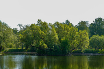 lake in the park