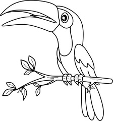 Toucan bird line art coloring book 