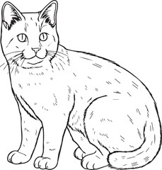 Cat , colouring book for kids, vector illustration