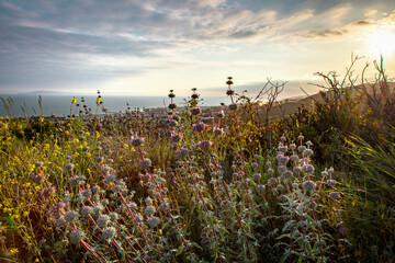 Coastal Landscapes and Scenery