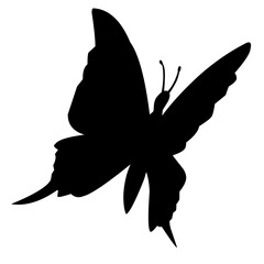 Butterfly Silhouette vector