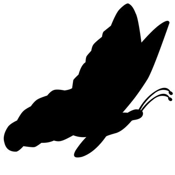 Butterfly Silhouette vector