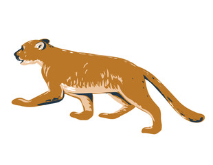  WPA poster art of a cougar, a large cat native to the Americas prowling viewed from side done in works project administration or federal art project style.