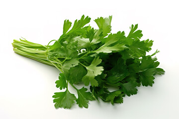 Italian parsley isolated on white background generative ai