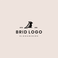 Bird logo vector icon template