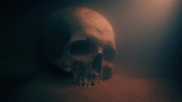 Skull In Pirate Cave Underwater