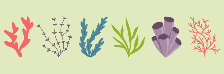 Set of sea and aquarium water plant or seaweed, underwater planting, vector