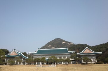 青瓦台