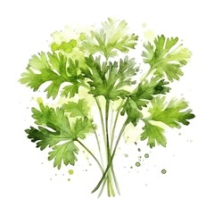 Aromatic Parsley Herbs Watercolor Square Background. Healthy Vegetarian Diet. Ai Generated, Drawn With Paint Splashes On White Background Delicious Aromatic Parsley Herbs. Generative AI