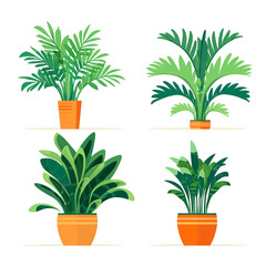 Set of houseplants. Indoor plant in modern flowerpot. Decorative houseplants for interior home decoration