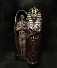 Egyptian Mummy with sarcophagus 5