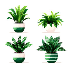 Set of houseplants. Indoor plant in modern flowerpot. Decorative houseplants for interior home decoration