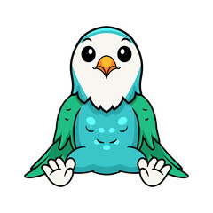 Cute blue turquoise bird cartoon