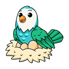 Cute blue turquoise bird cartoon with eggs in the nest
