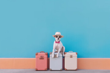 Adorable Dog Wearing Sun Hat Sitting in front of bright Pastel Background. Generative ai - 610467267