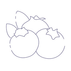 Blueberry flat line icon, forest berry sign, healthy food logo. Illustration of cranberry, lingonberry for natural food store isolated on white background. Vector illustration